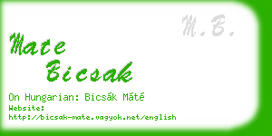 mate bicsak business card
